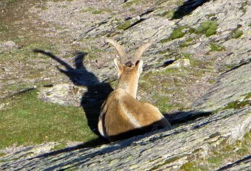 ホテル Hospedería Del Santuario De La Peña De Francia