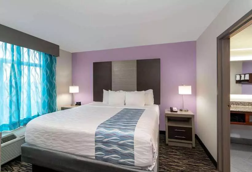 酒店 La Quinta By Wyndham Clarksville