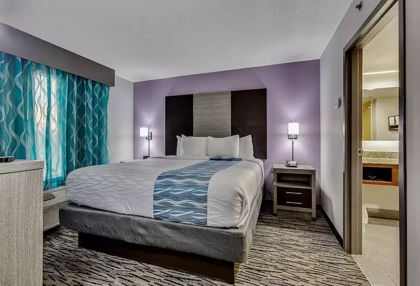 酒店 La Quinta By Wyndham Clarksville