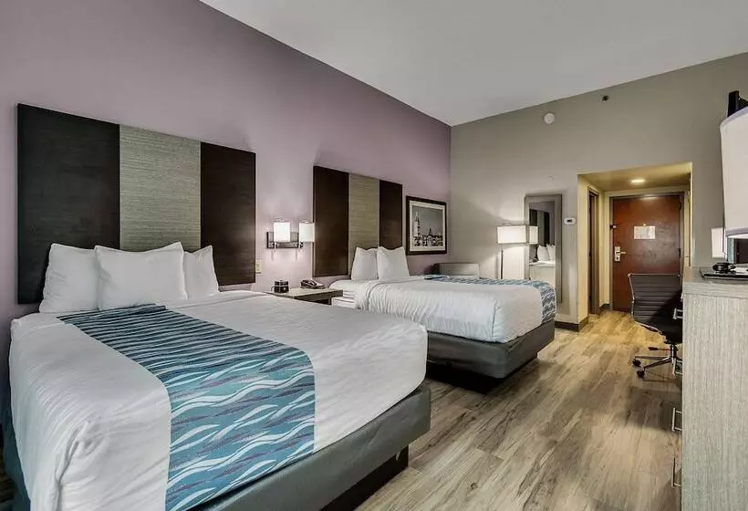 酒店 La Quinta By Wyndham Clarksville