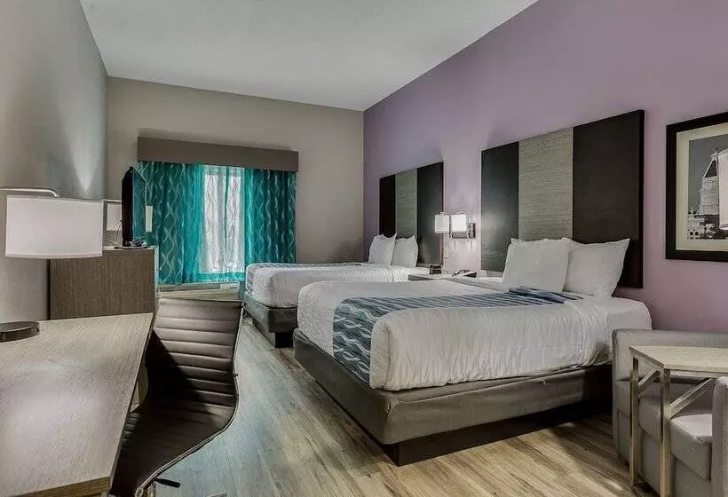 酒店 La Quinta By Wyndham Clarksville