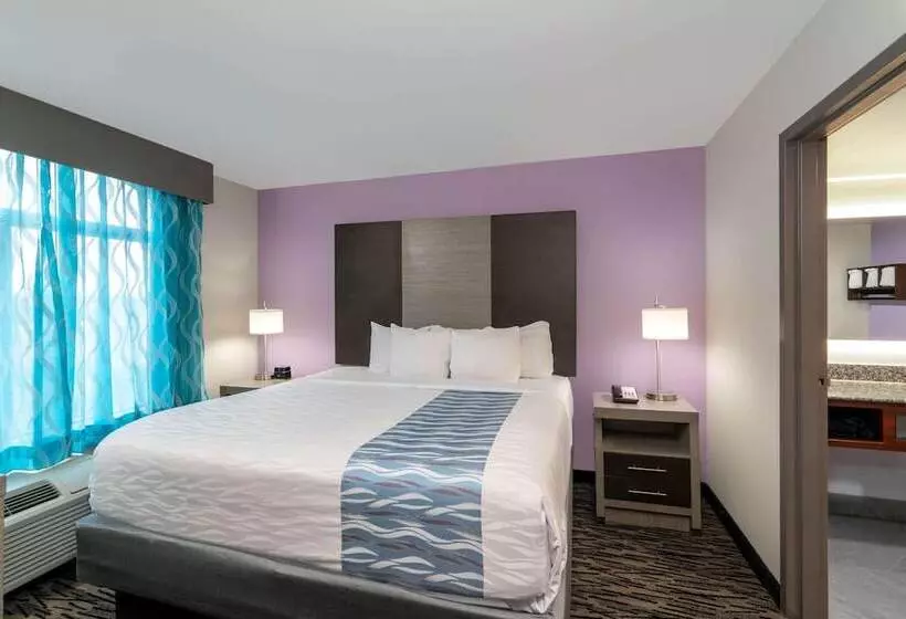 酒店 La Quinta By Wyndham Clarksville