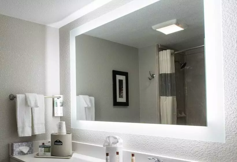 בית מלון כפרי Wingate By Wyndham Dallas Love Field