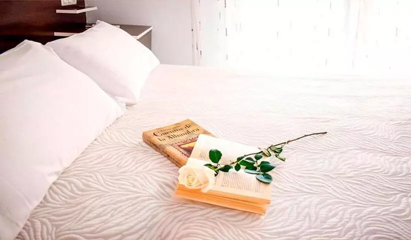 Hôtel (catégorie 1/2 *) Albero