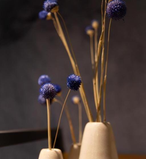 בית מלון כפרי B&b Elementum