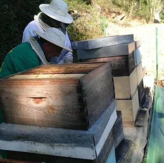 La Montaña Mágica Hotel Rural