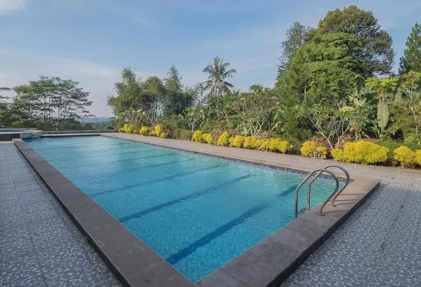 ホテル Reddoorz Premium @ Fafa Hills Resort Puncak