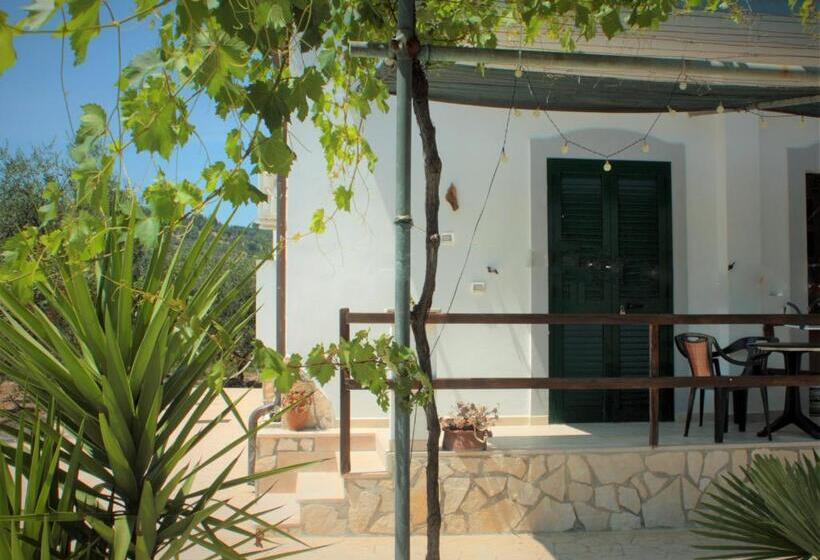 تختخواب و صبحانه Vila Sejuda