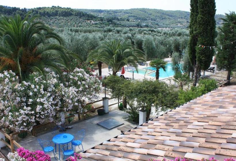 تختخواب و صبحانه Vila Sejuda