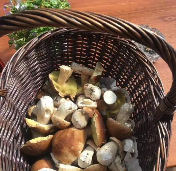 Majatalo Hájenka Hraběte Buquoye