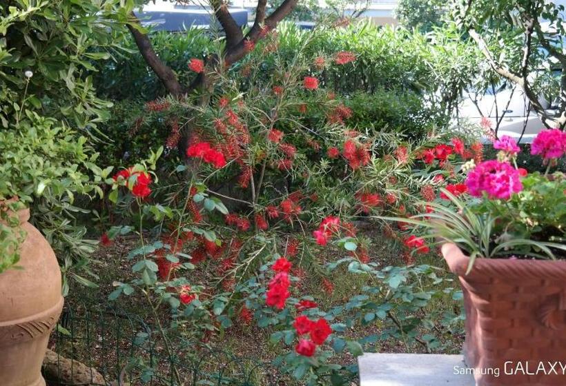 膳宿费 La Zattera Camere