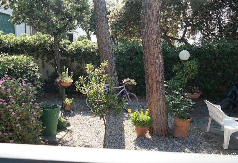 膳宿费 La Zattera Camere