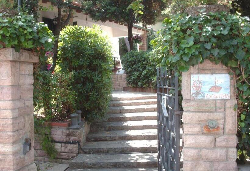 膳宿费 La Zattera Camere