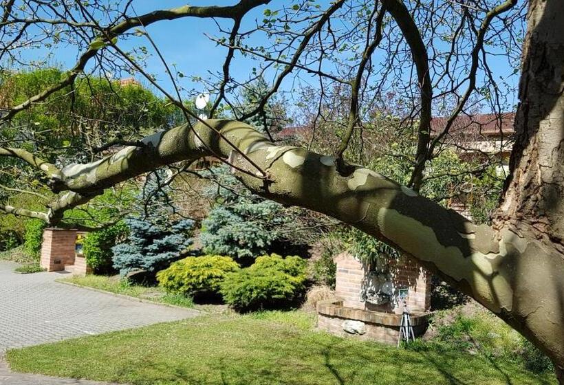 ペンション Penzion U Vlků