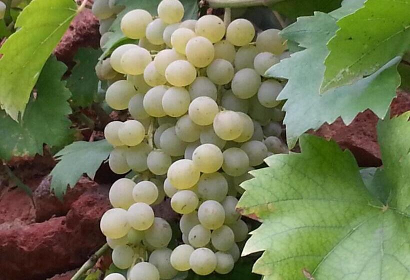 ペンション Penzion U Vlků