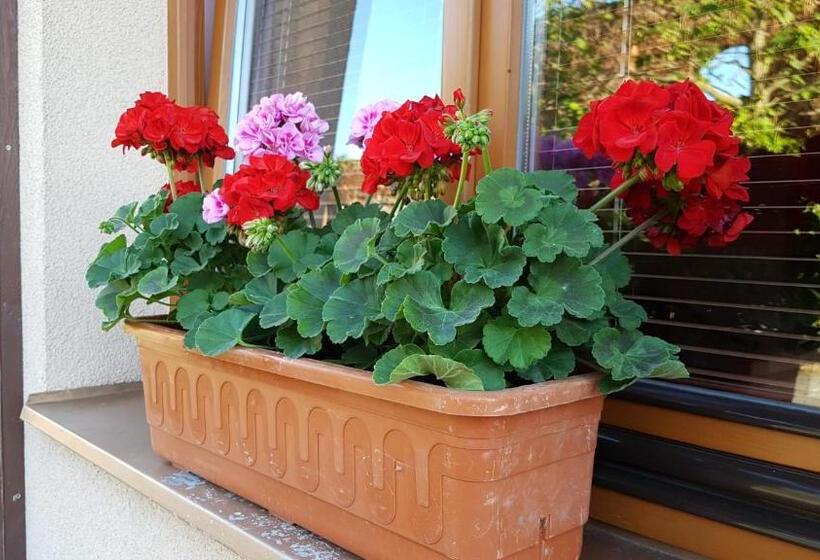 ペンション Penzion U Vlků