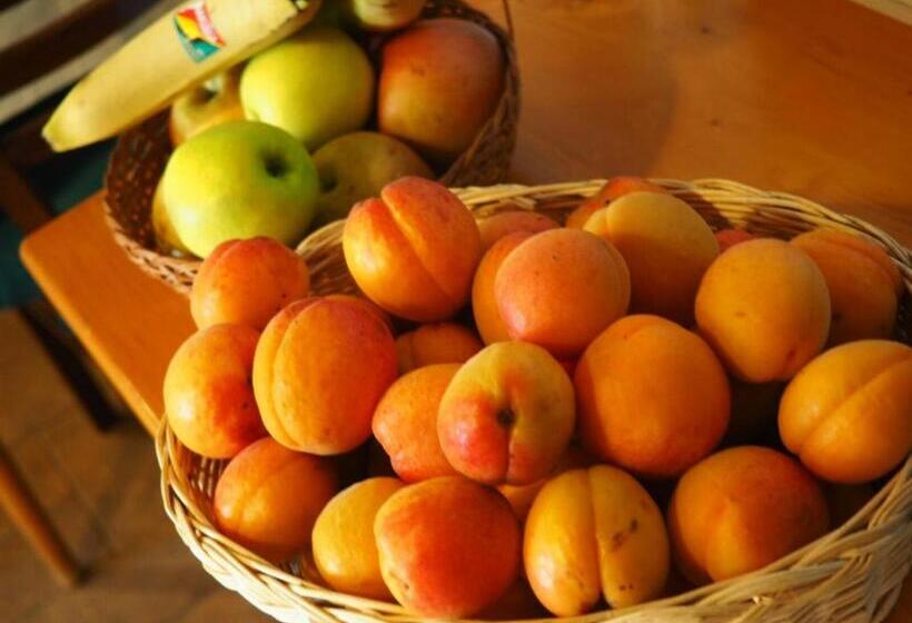 ペンション Penzion U Vlků