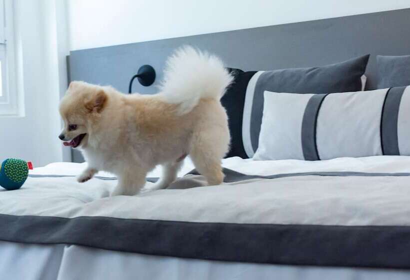 هتل Ibis Styles Buenos Aires Florida