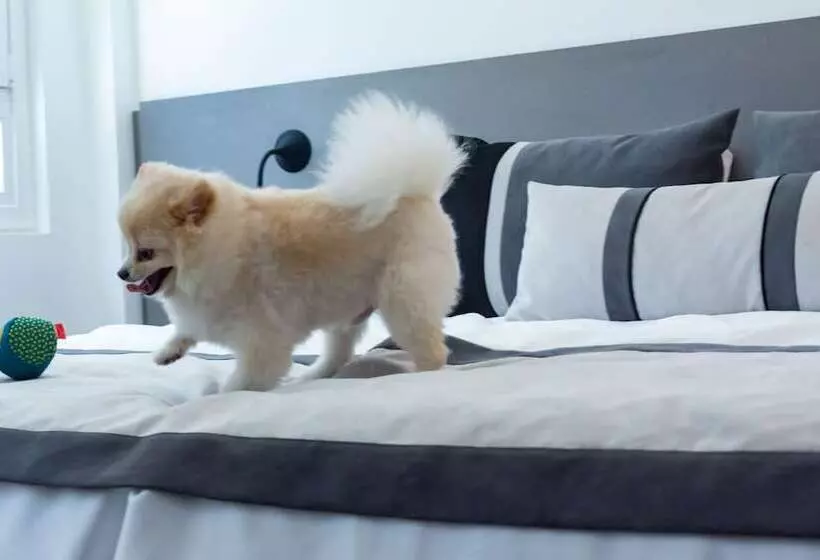 هتل Ibis Styles Buenos Aires Florida