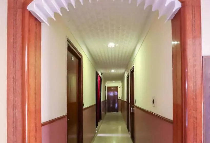 Hotelli Oyo 44011 Sahil