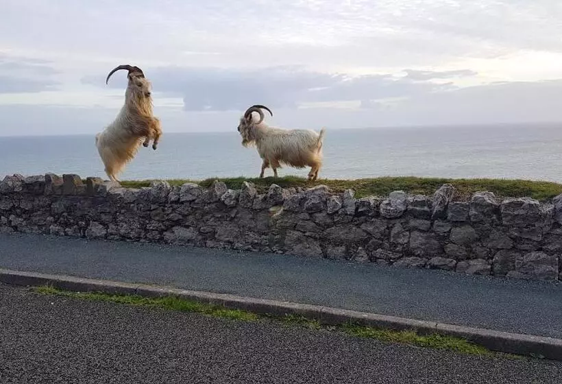 호텔 Min Y Don Llandudno