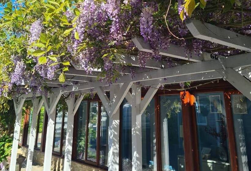 Hotel Northover Manor