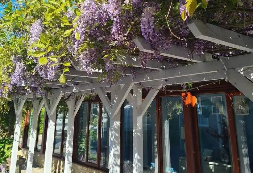 Hotel Northover Manor