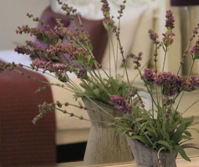 Hotel Northover Manor