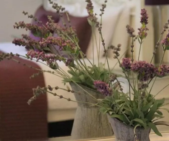 Hotel Northover Manor