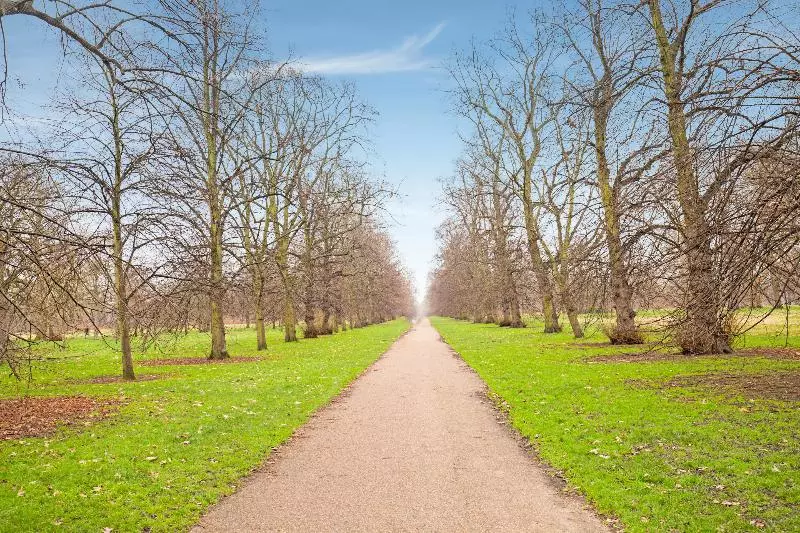 هتل Townhouse Apollo, Hyde Park