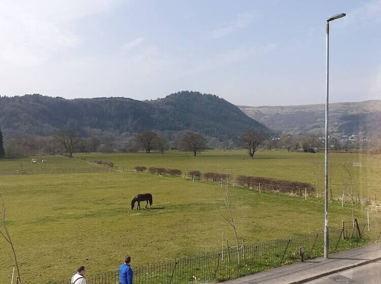 בית מלון כפרי Meadowsweet