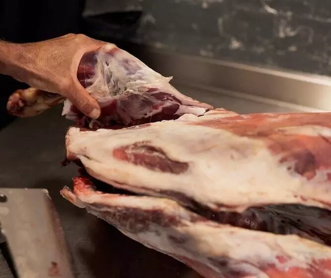 酒店 The Pembroke Arms