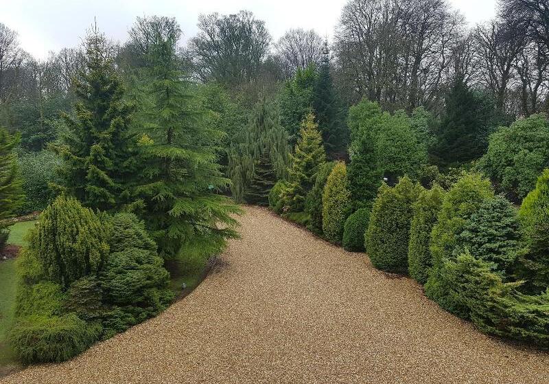 호텔 Tre Ysgawen Hall & Spa