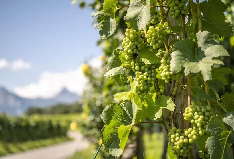 Cubilaris Motel Bad Ragaz