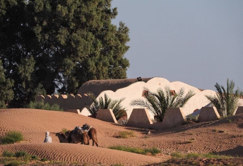 بنسيون L'oasis
