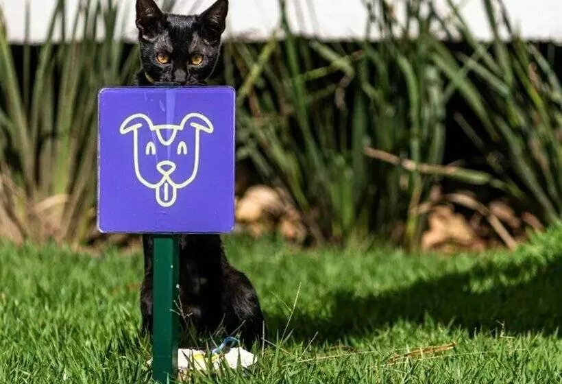 Makkai Resort Bombinhas