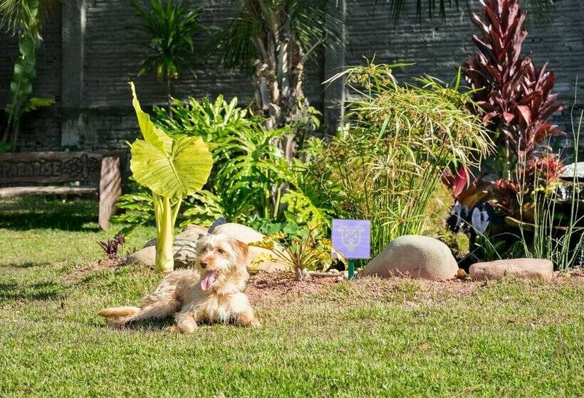 Makkai Resort Bombinhas