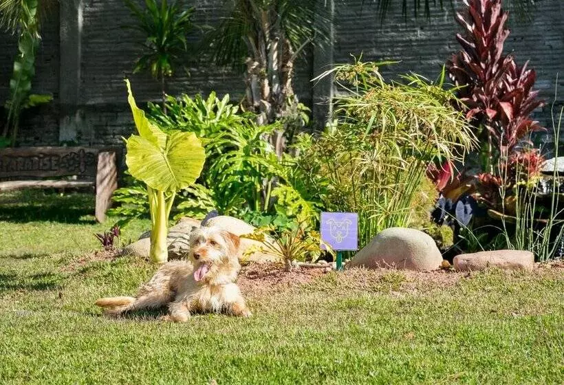 Makkai Resort Bombinhas