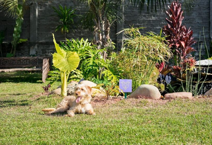 Makkai Resort Bombinhas