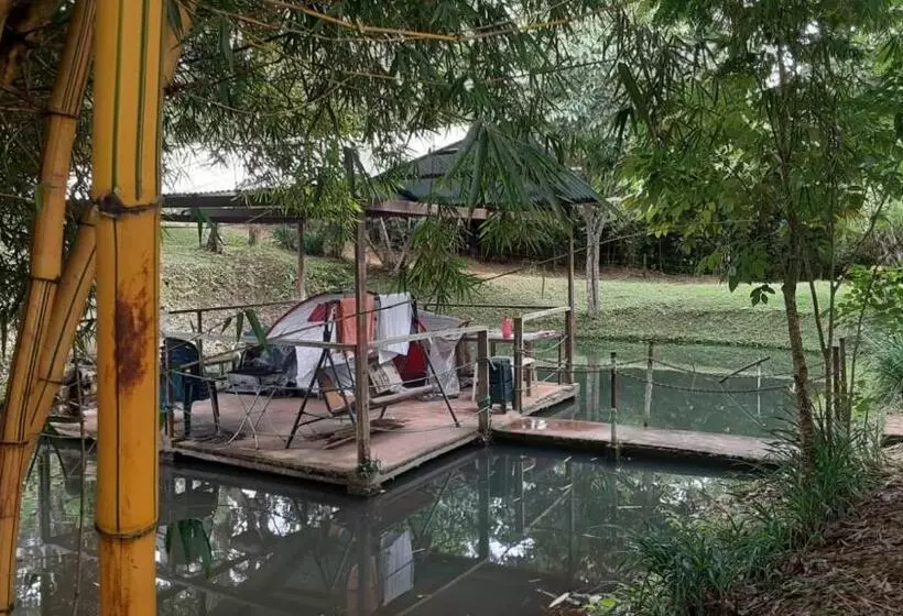ベッドアンドブレックファースト La Casa Del Bosque Via Saladito