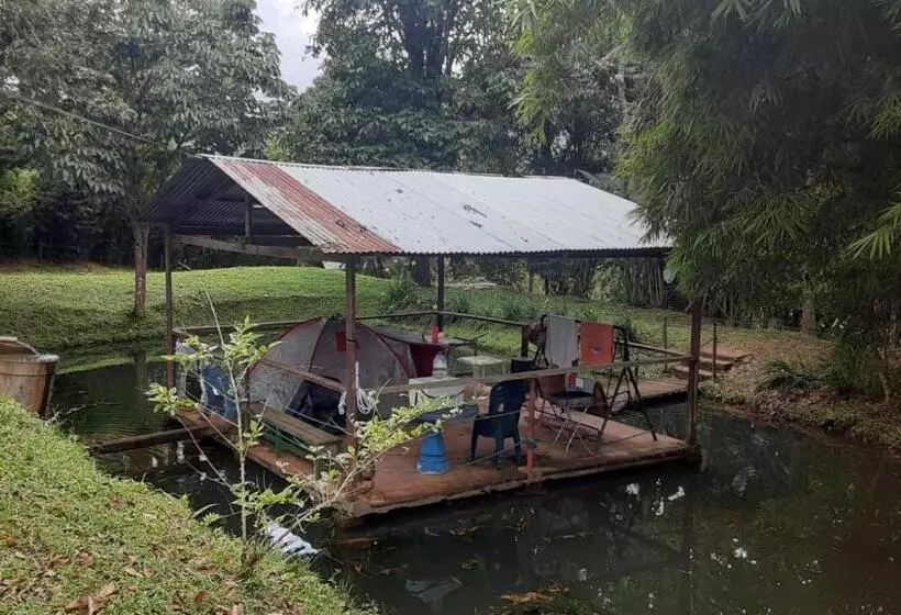 ベッドアンドブレックファースト La Casa Del Bosque Via Saladito