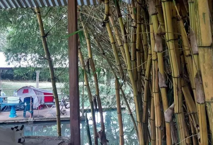 ベッドアンドブレックファースト La Casa Del Bosque Via Saladito