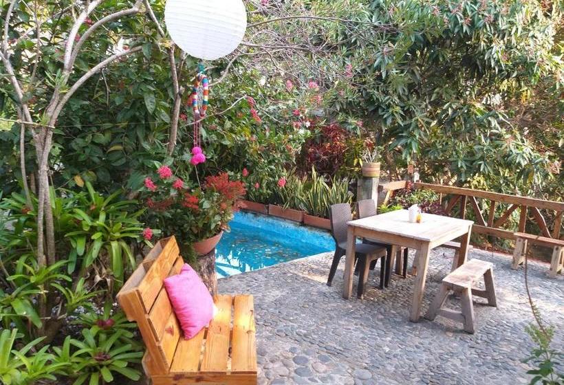 تختخواب و صبحانه Posada Villa Margarita