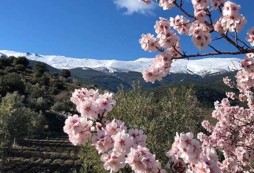 فندق Boutique Molino De Enmedio