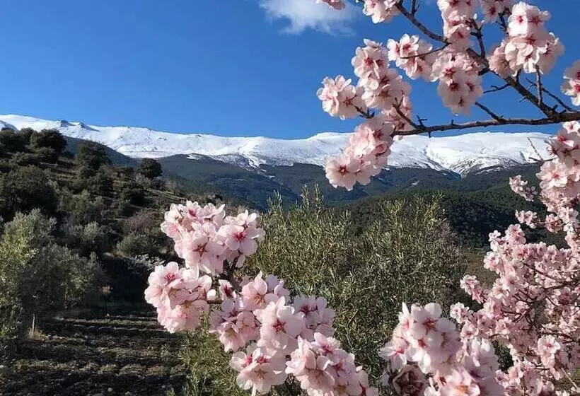 Hotelli Boutique Molino De Enmedio