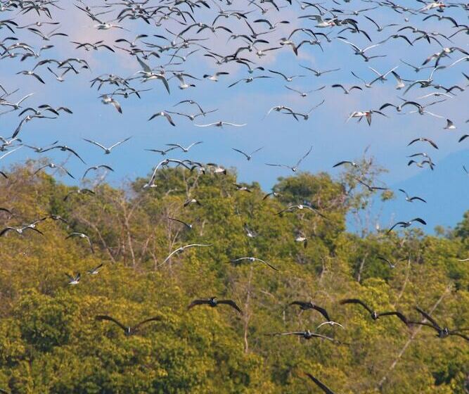 ホテル Casa Mandala