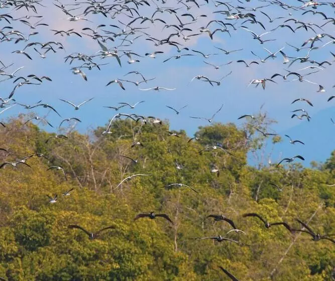 Hotelli Casa Mandala
