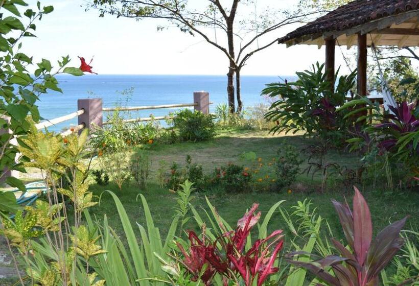 Отель Kambutaleko