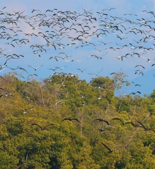 ホテル Casa Mandala