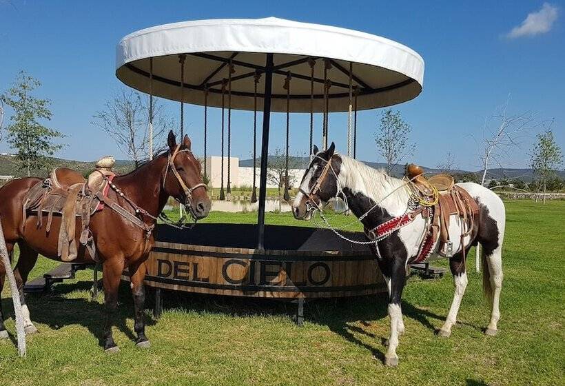 فندق Viña Del Cielo